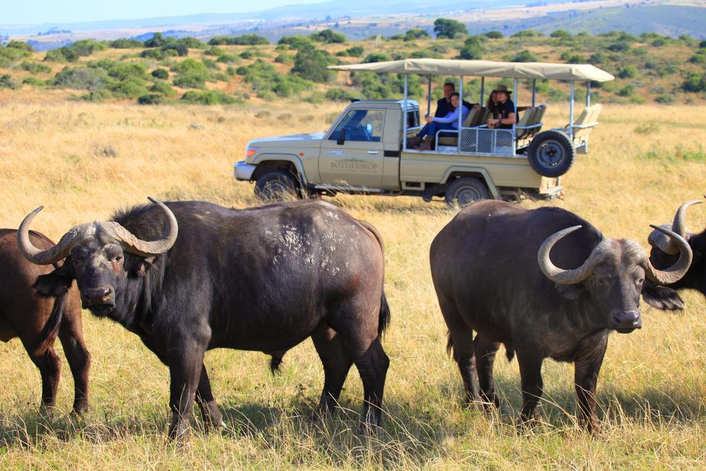 Botlierskop Bush Villas Sandhoogte Экстерьер фото