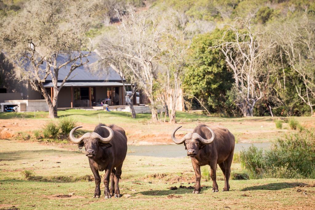 Botlierskop Bush Villas Sandhoogte Экстерьер фото