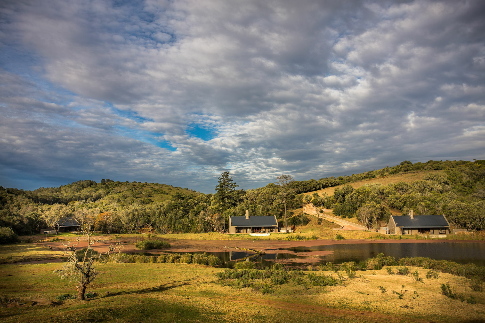 Botlierskop Bush Villas Sandhoogte Экстерьер фото